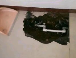 涞水卫生间测漏水多少钱